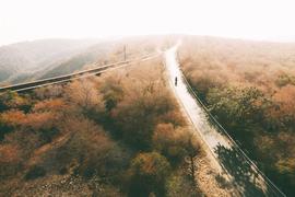 FOM:区块链第一个落地场景，居然是“发票”？_区块链币排名