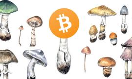 BIT:比特币最像的竟不是黄金，而是真菌？_PEPEXAI币