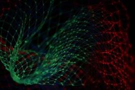 FIX:毕马威：加密资产制度化面临六大挑战_FIX00
