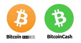 SEG:比特币两种扩容方案上线一年后交易量对比：BCH 比 SegWit 少了 17%_WitcherVerse