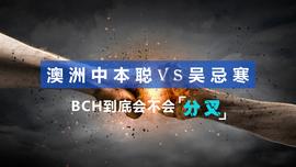COI:澳洲中本聪 VS 吴忌寒，BCH 到底会不会分叉？_COIN