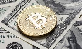 USD:比特币现金诞生一周年，BCH的未来在哪？_SDT
