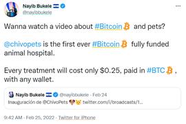 比特币:萨尔瓦多政府建立的兽医医院开业，每次治疗只收取0.25美元的BTC_WEB