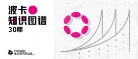 EOS:科普 | 波卡主要支持的WebAssembly（Wasm）是一种什么工具？_quickpaymentchain