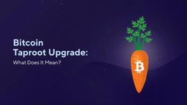 ROOT:即将到来的Taproot升级将为比特币带来什么_oneroot币局