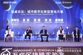 OPT:在城市数字化转型落地方案中，区块链扮演着什么角色？_OptionRoom Governance Token