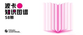 RED:如何在通用资产平行链Statemint上创建资产？-ODAILY_BNB