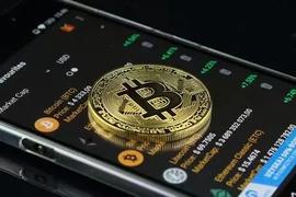 CRYPT:库里为何花116万买一个NFT头像？回顾NFT头像的“发迹史”或许能找到答案_ANI
