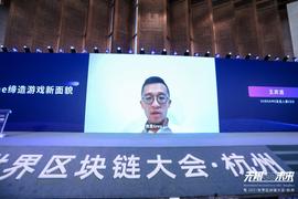 SUB:SubGame发起人兼CEO王庆进：区块链游戏比传统游戏更具公平性丨2021世界区块链大会_SUBS