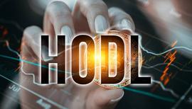 比特币:HODL这个meme，是如何揭示比特币真相的_PegHub.com