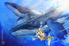 ETH:鲸鱼集群分析丨比特币正处于暴风雨来临前的平静_比特币在中国合法吗