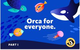 VAL:Orca for Everyone（一）：从Solana开始-ODAILY_ANC