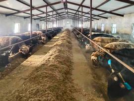 比特币:首创首落地！万向区块链为千万级生物资产生态，打造全流程可信数据底座_EOS