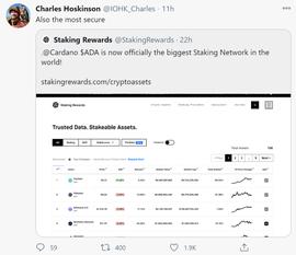 DAN:Cardano取代Polkadot成为最大的PoS网络_Reality Cards