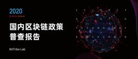 人工智能:研究 | 2020国内区块链政策普查报告_人工智能币龙头