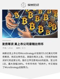 PLE:发债筹资 美上市公司豪比特币_Qripplex