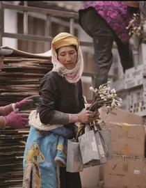 比特币:矿工再见，用区块链的方式画上句号-ODAILY_nexa币是什么东西