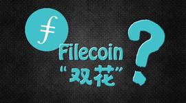 OIN:惊魂一夜:Filecoin“双花”了?-ODAILY_PIRATECOIN