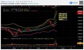 SDT:短期内价格或有回调需要，1月29日加密货币市场行情分析│烤仔星选-ODAILY_泰达币usdt查询
