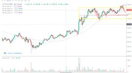 BTC:行情分析：魔幻的2020即将过去，比特币会用3万美元迎接新年吗？-ODAILY_dot币今日行情分析