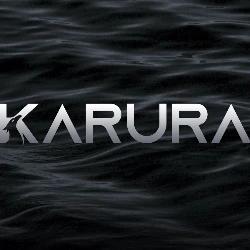 KUSA:Acala先行网Karura计划参与Kusama网络第一批平行链租赁（PLO）-ODAILY_EFIN