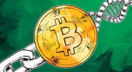 MAC:AAX & Odaily 有奖征文 | 一文读懂比特币减半和未来趋势-ODAILY_BCH