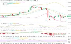 BTC:BTC减半结束横盘蓄势，后市多空如何判断？-ODAILY_MAC币