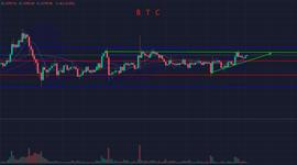 TEL:行情逐步上涨,牛市开启了吗?-ODAILY_BitDegree