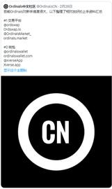 NFT:长推：关于Ordinals 主题的 Twitter Space 笔记_Wrapped Ordichains