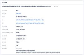 VIE:用区块浏览器轻松查看链上留言-ODAILY_以太坊交易币怎么交易