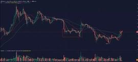 PIN:转变对BTC的熊市思维，BSV和BCH还能否参与？-ODAILY_PING