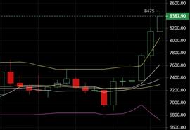 STO:1.8比特币行情分析：牛市即将来临，你准备好了吗?-ODAILY_TOC