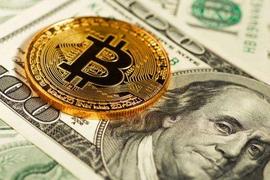 BTC:谁能撼动美元的霸主地位？-ODAILY_数字资产有哪些类型