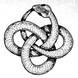 NCE:长推：DeFi如何摆脱现有困境？_Wrapped Staked USDT
