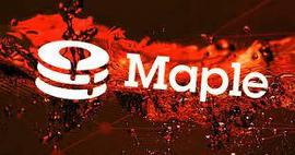 NCE:Maple面临3600万美元恶意违约,无抵押贷款是不是伪命题?_EFIN