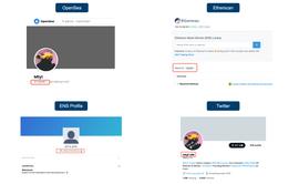 STO:你的Web3域名，价值究竟何在？_matchstorevalue