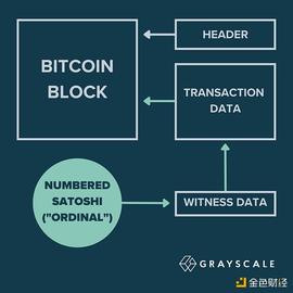 ALS:金色观察 | 灰度研报：Ordinals能否解锁比特币新潜力？_ORDI