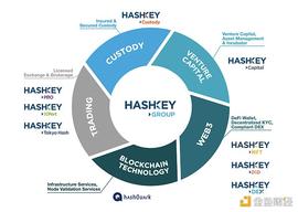 DEF:HashKey Group将发布生态积分 一文读懂HSK的权益和分配机制_DOGDEFI