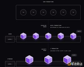 RES:Polygon 和 ZkSync 的新 ZK Rollups：以太坊的未来？_OLY