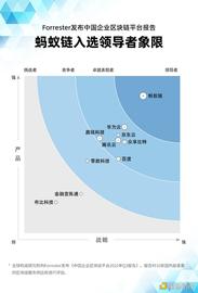 区块链:权威机构Forrester发布报告 蚂蚁链是中国企业区块链平台领导者_INSaNe