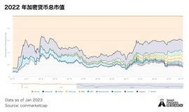 WEB3:2022 加密市场年度盘点_Web AI