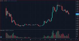 TIM:Optimism生态数据分析：发行Token这步棋是俗手还是妙手_Option Panda