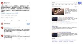 BNB:“二舅币”跑路了？假的 只有4笔交易 项目方拿走2000元_TERK价格