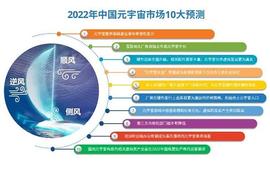 GAS:中国电子报：元宇宙的傲慢与偏见_VegasDoge