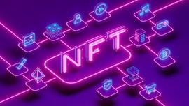 NFT:怎样在投资NFT市场时“避坑”？_比特币