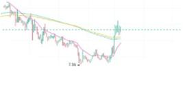 区块链:一文读懂强势崛起的老牌公链 Waves_Tax Haven Inu