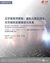 BOOK:虚拟与现实结合：元宇宙的发展现状与未来_Facebook Metaverse
