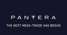 WEB3:Pantera Capital：新一轮「加密投资热潮」即将到来_区块链专业是冷门专业吗
