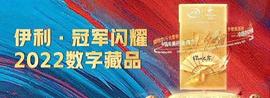 COI:NFT与元宇宙在北京冬奥会的闪耀_NFTG价格