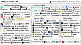 VES:去中心化的VC：投资类DAO的TOP 5_Sport Investing